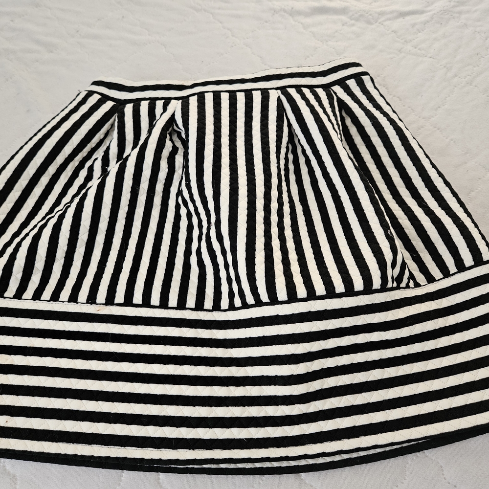 Black and White Striped Skirt